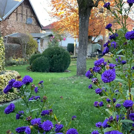 Haus-hoeppches Vakantiehuis