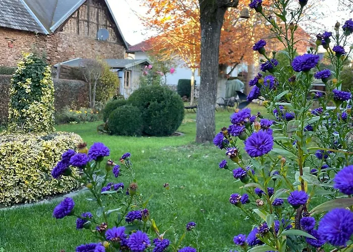 Haus-hoeppches Vakantiehuis